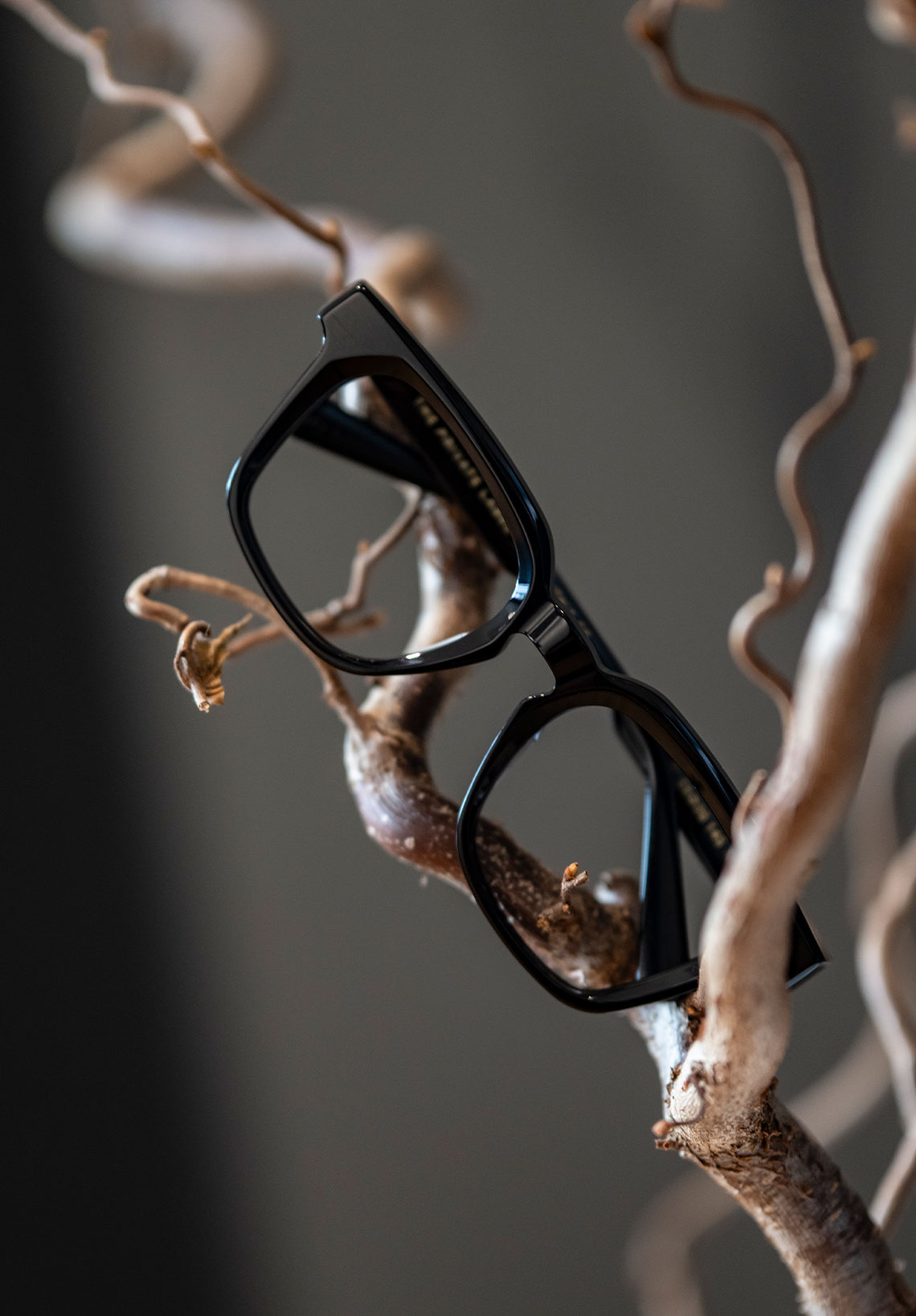 shop-optische-brillen Optische Brillen von TPL